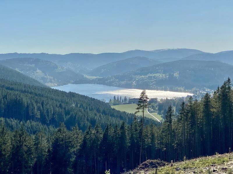Hotel Zartenbach Hinterzarten Exteriör bild