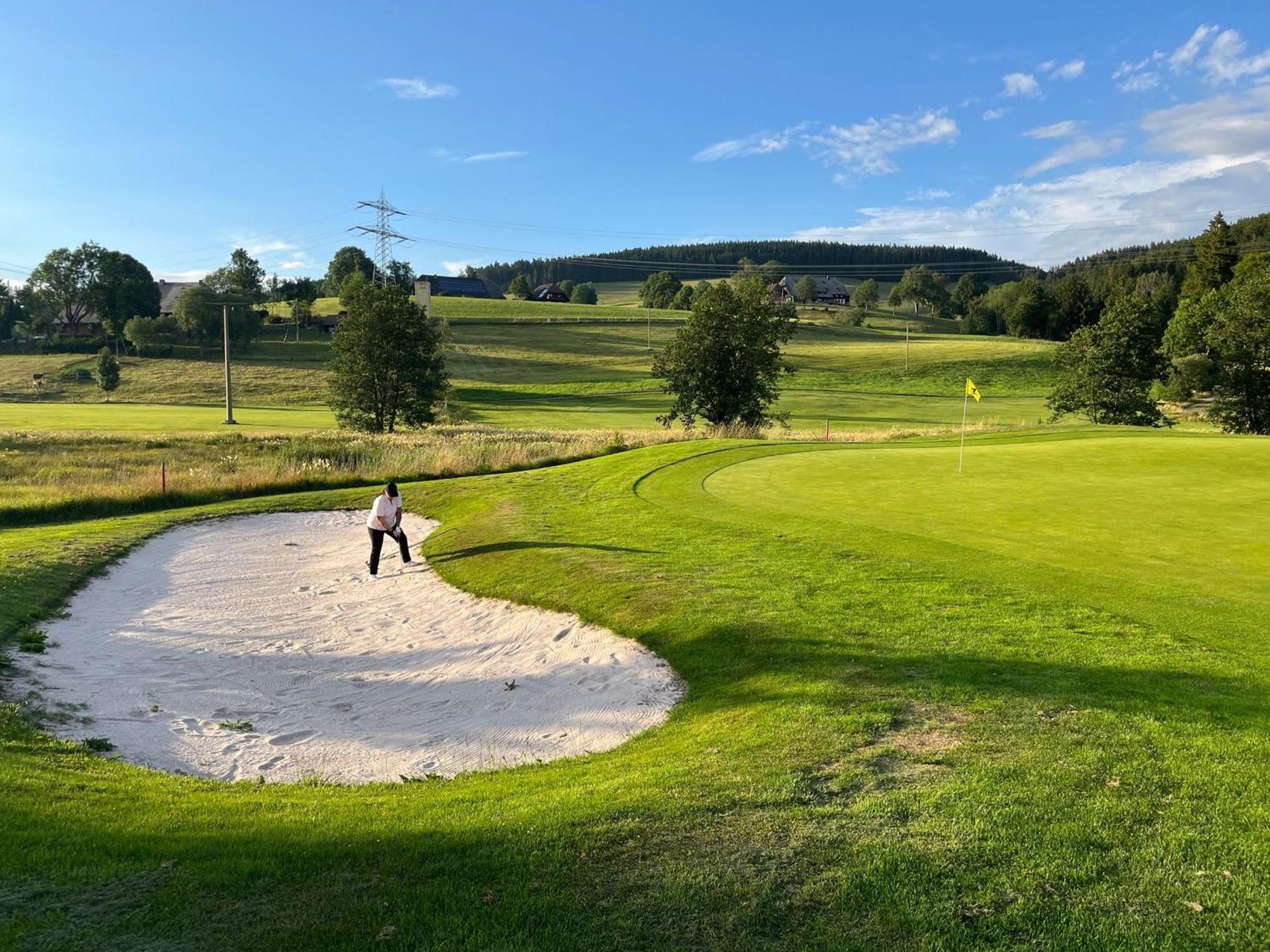 Hotel Zartenbach Hinterzarten Exteriör bild