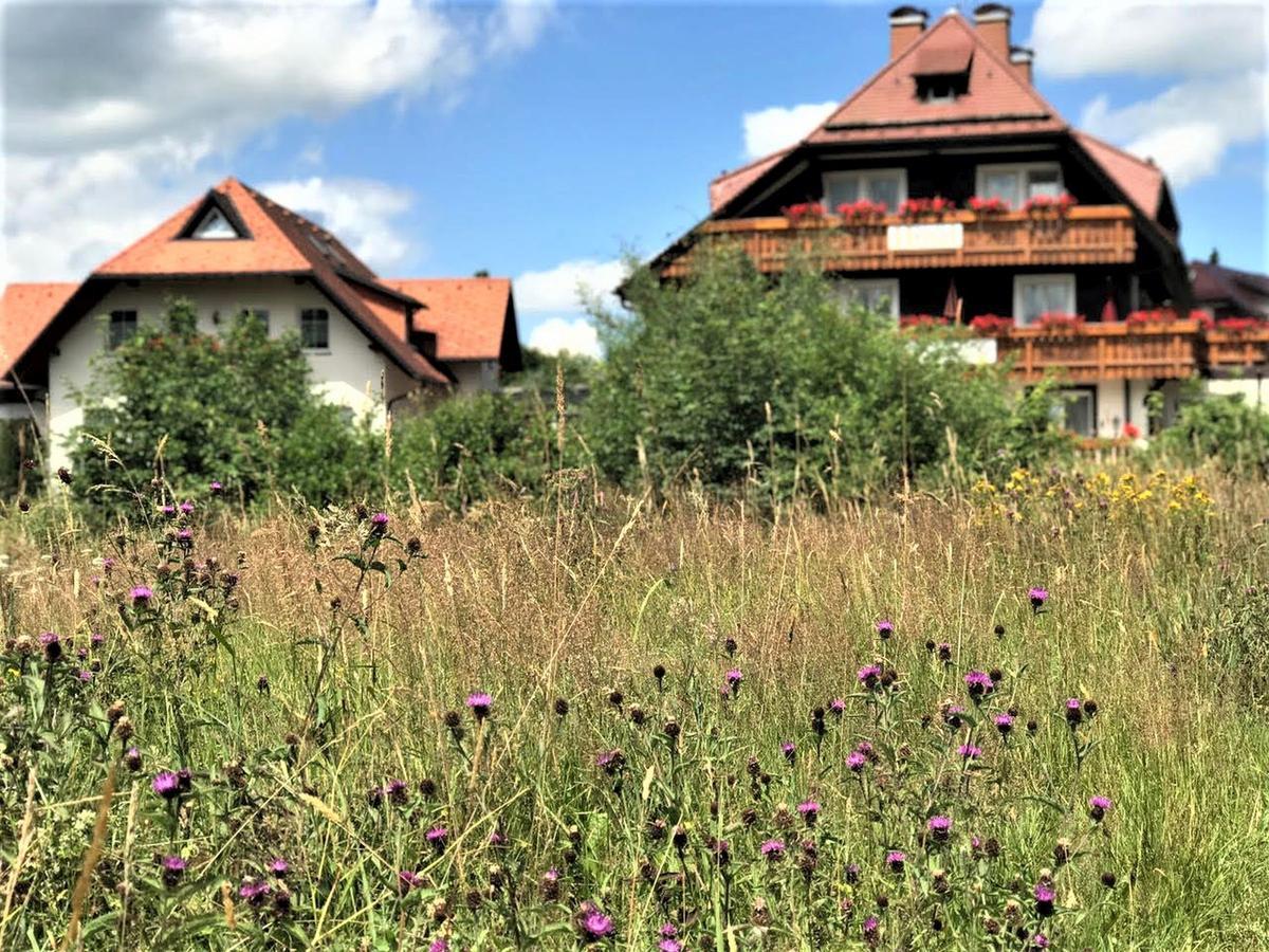 Hotel Zartenbach Hinterzarten Exteriör bild